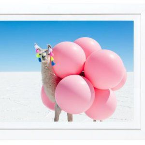 Gray Malin Llama I and Llama II (NEW)